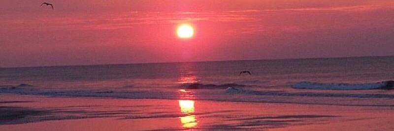 Tracy Paroubek banner