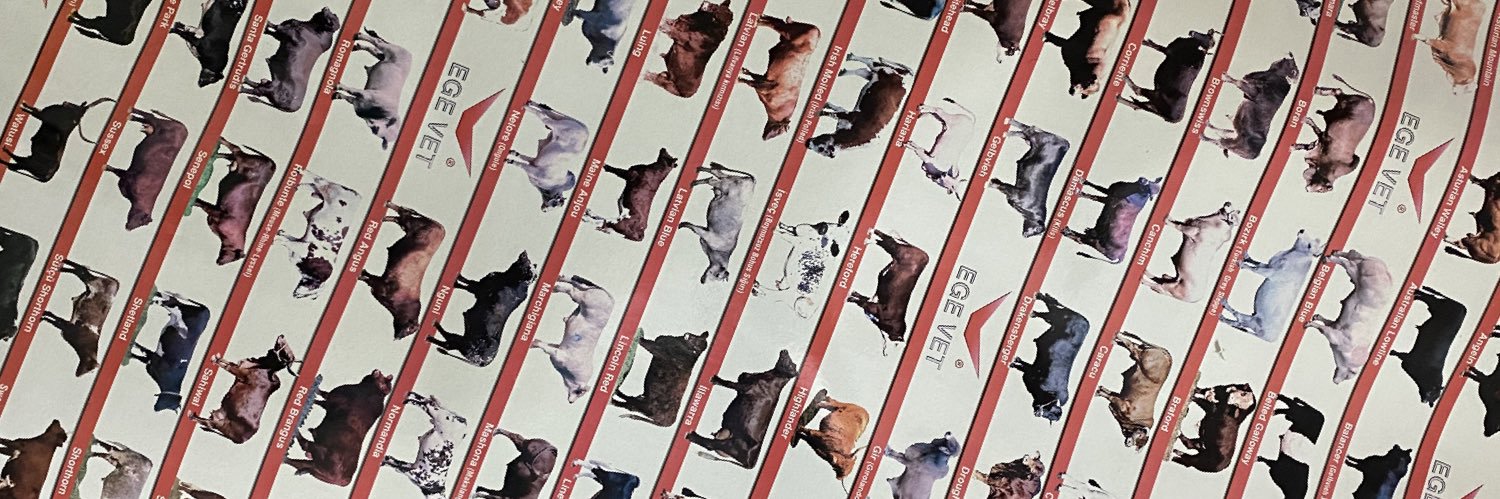 bukeetozsy's profile banner image