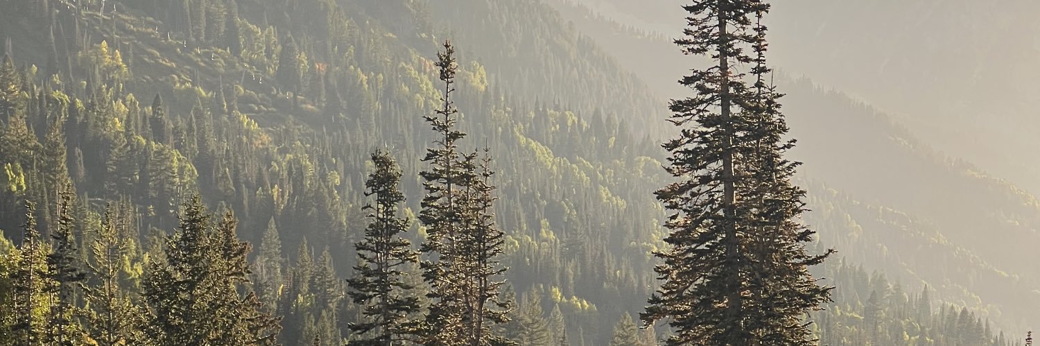 macfackrell's profile banner image