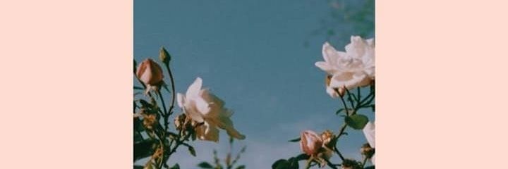 M4RQUITOS__'s profile banner image