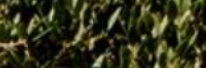 waroglight's profile banner image