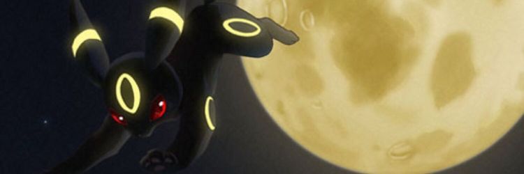 Tails banner