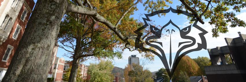 2019_MSU's profile banner image
