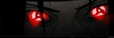 Dans banner