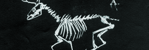 Lebranna's profile banner image
