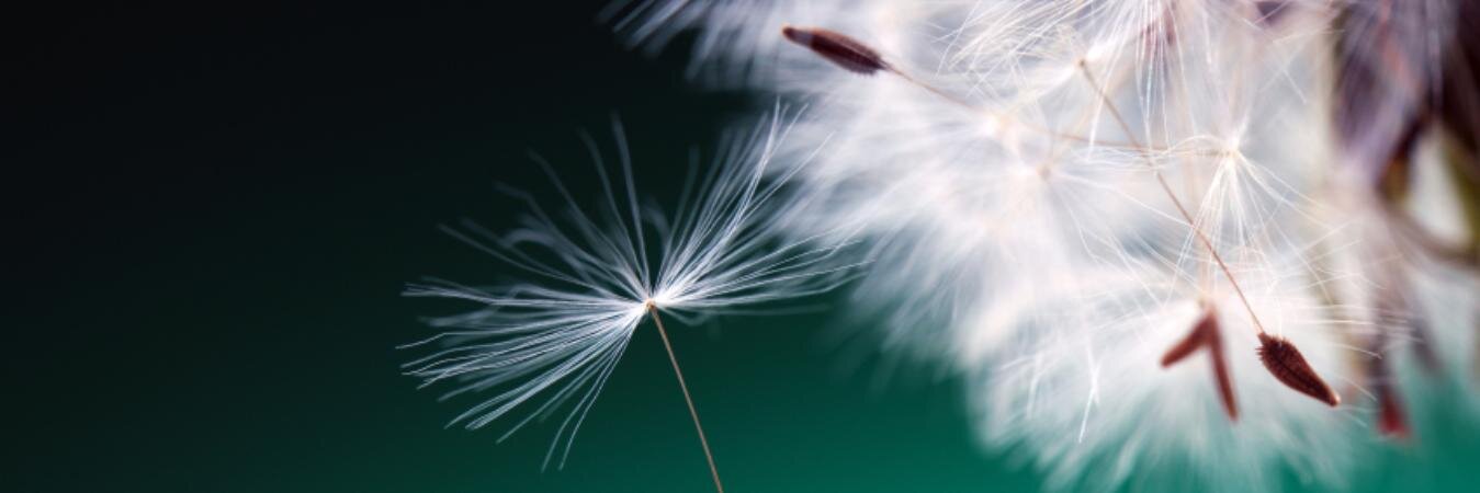 FpsJulie's profile banner image