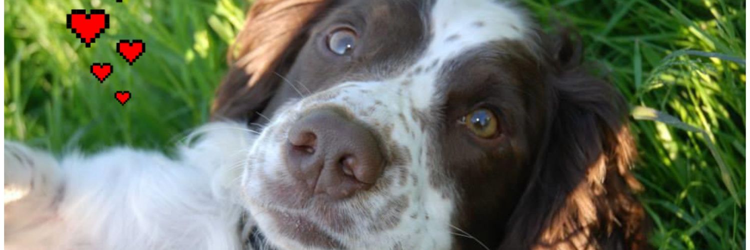 Tracey174's profile banner image