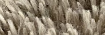 swold19's profile banner image