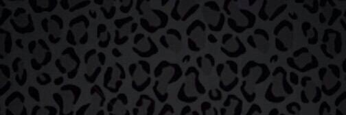 NGSRN_'s profile banner image