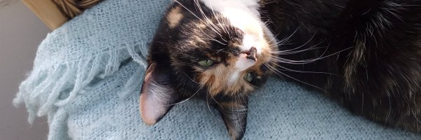 OUprettythings1 Profile Banner