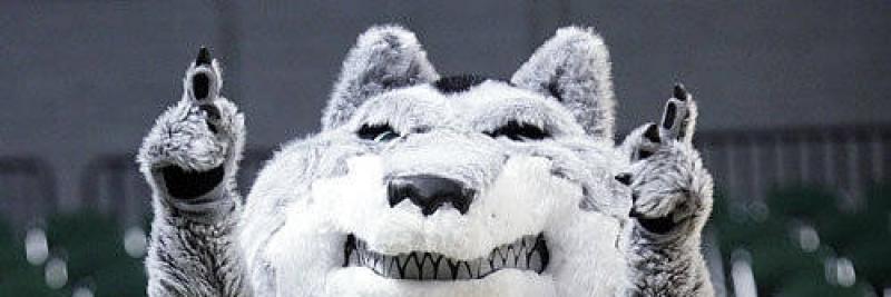 WrightCrush's profile banner image