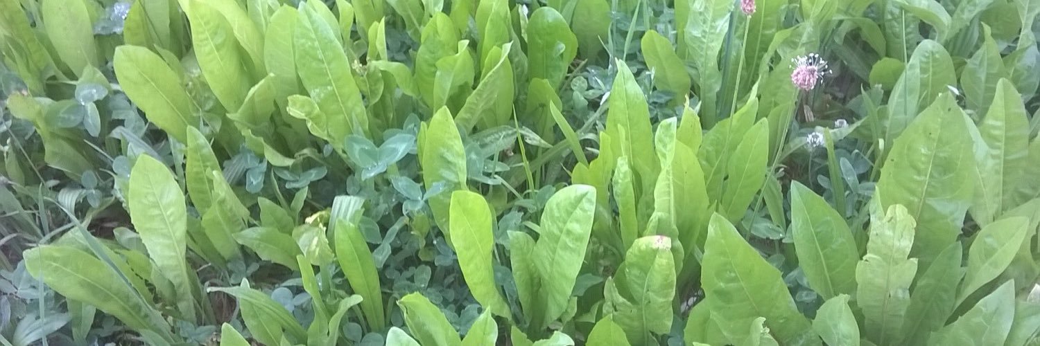 LeboucValery's profile banner image