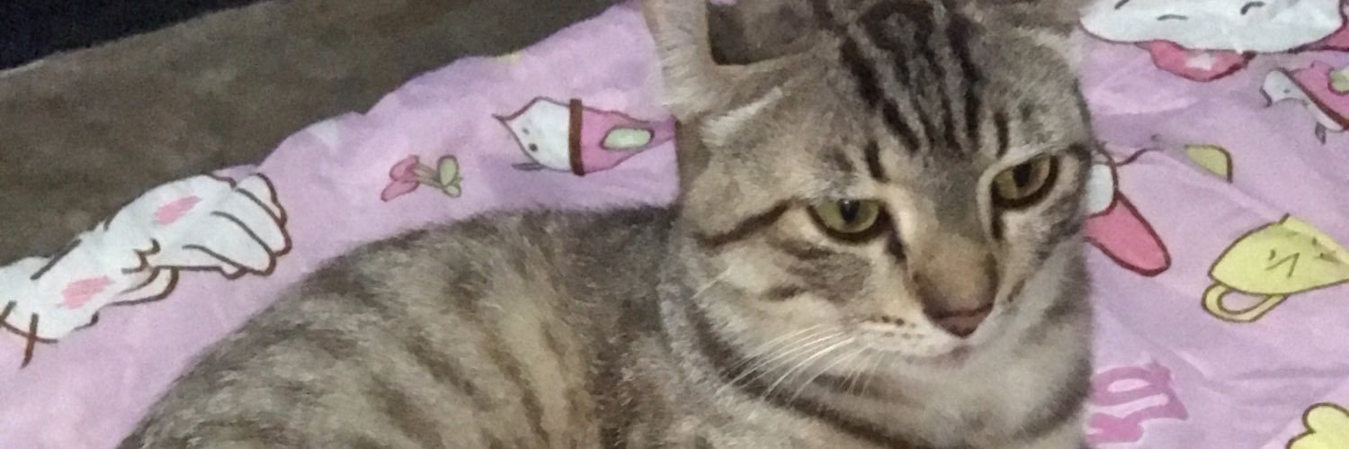 DaylyzzZ's profile banner image