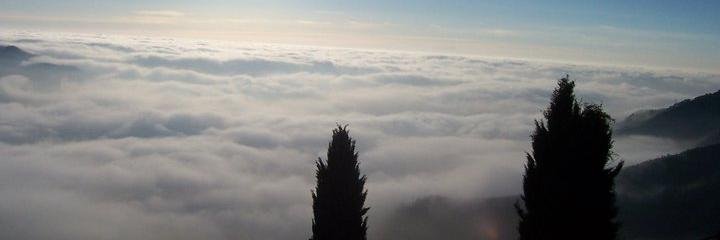patrisha78's profile banner image