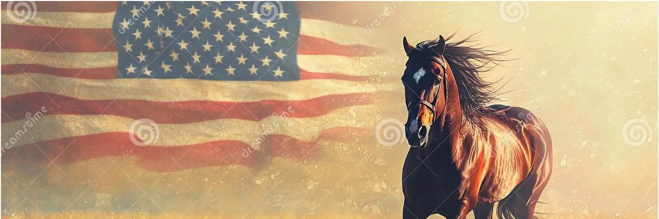 🇺🇸 🇺🇸 Dawn Michelle_TX 🇺🇸🇺🇸 banner