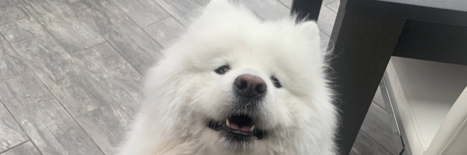 RCKGRlMES's profile banner image