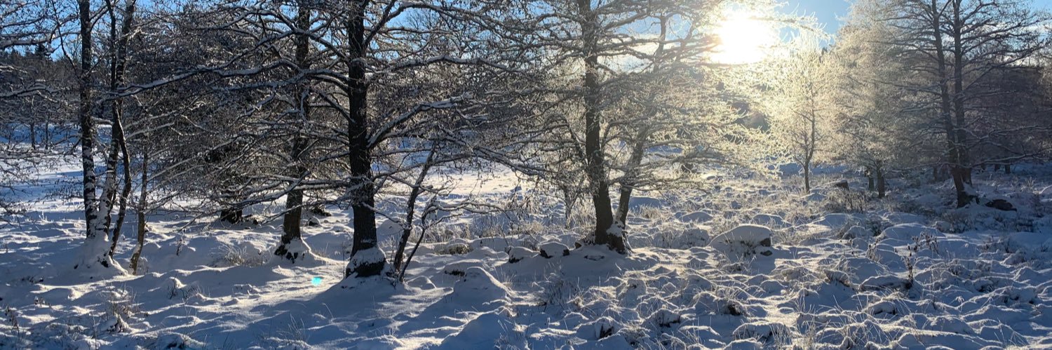 Jenny Sund Elf banner