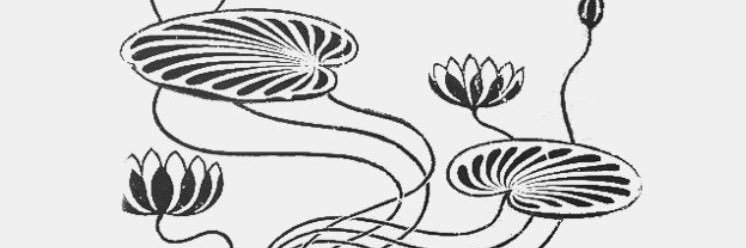 cintralui's profile banner image