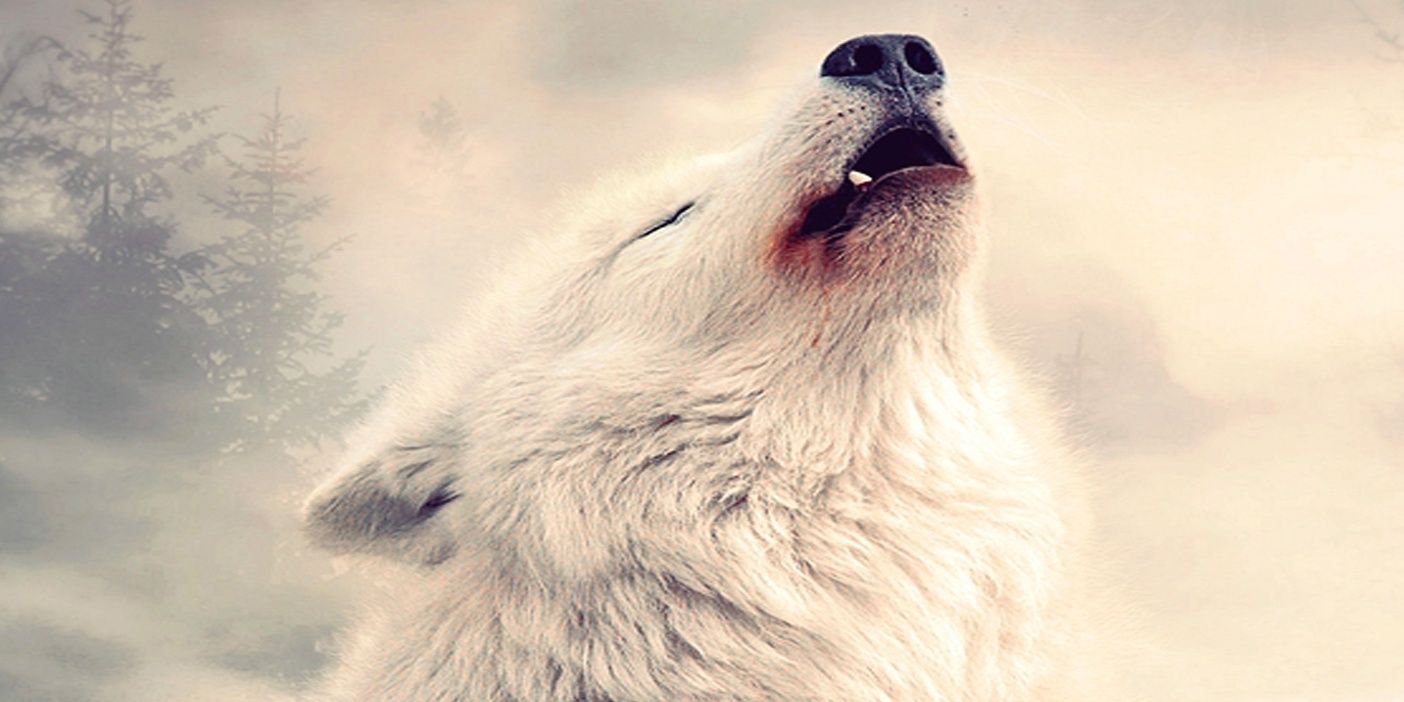 biasostyle's profile banner image