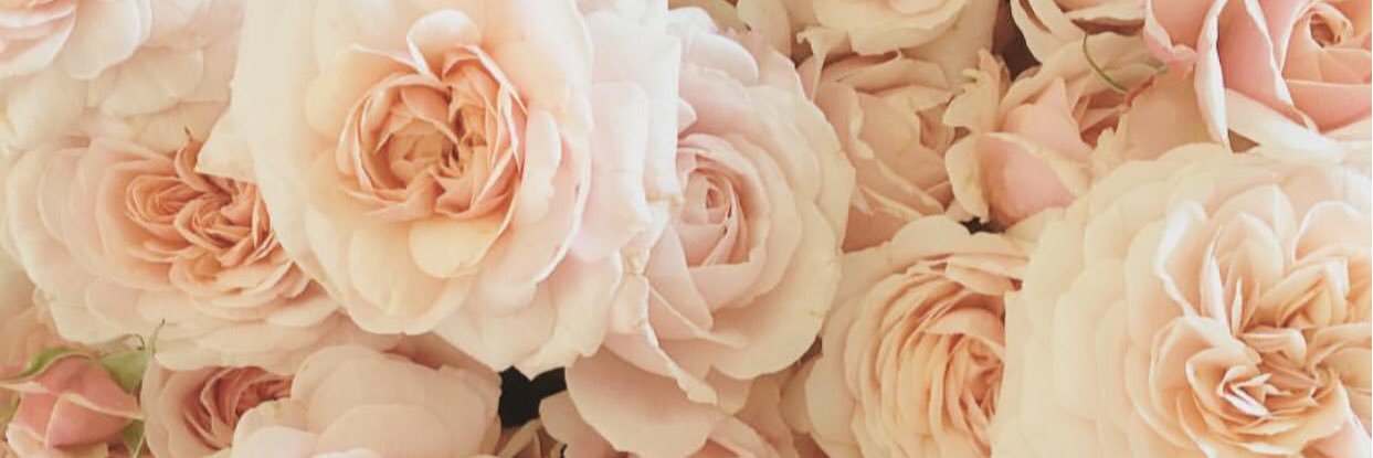 heleve92's profile banner image