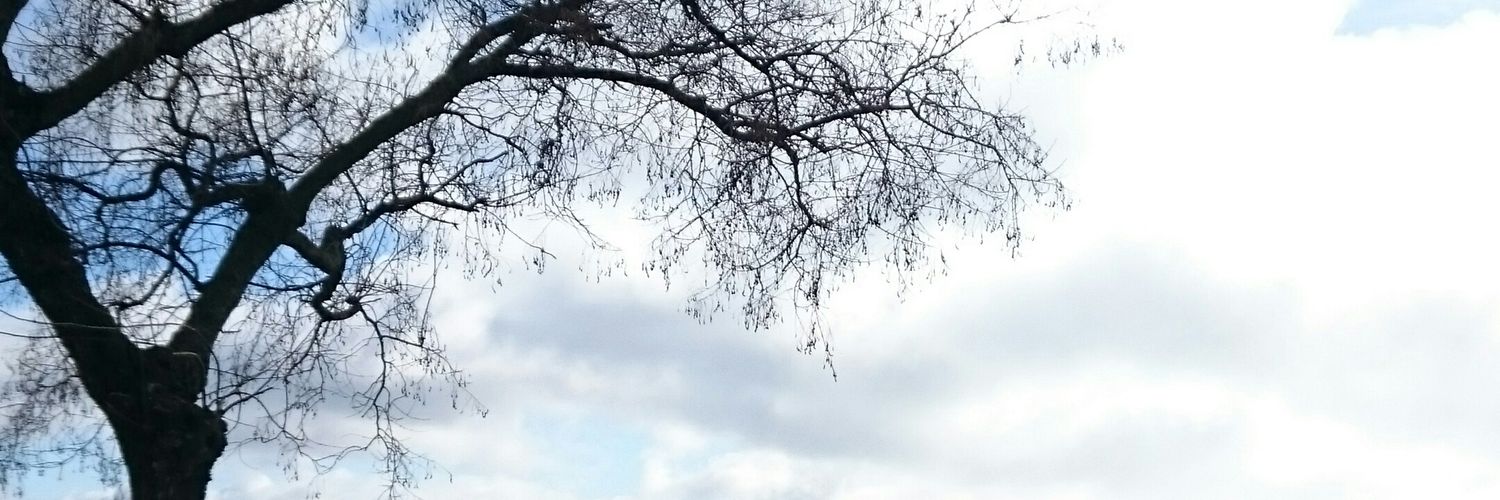Charo Montero banner