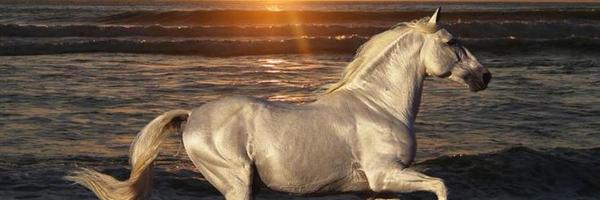 buffylampton Profile Banner