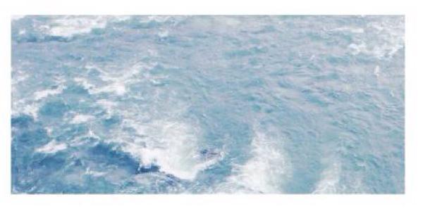 jasallgdrsss's profile banner image