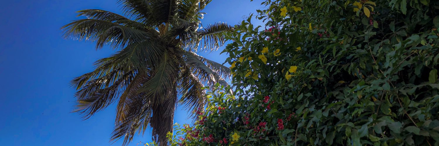 dreezyoficial's profile banner image