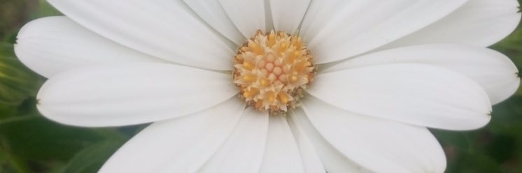 DundarRojbin's profile banner image