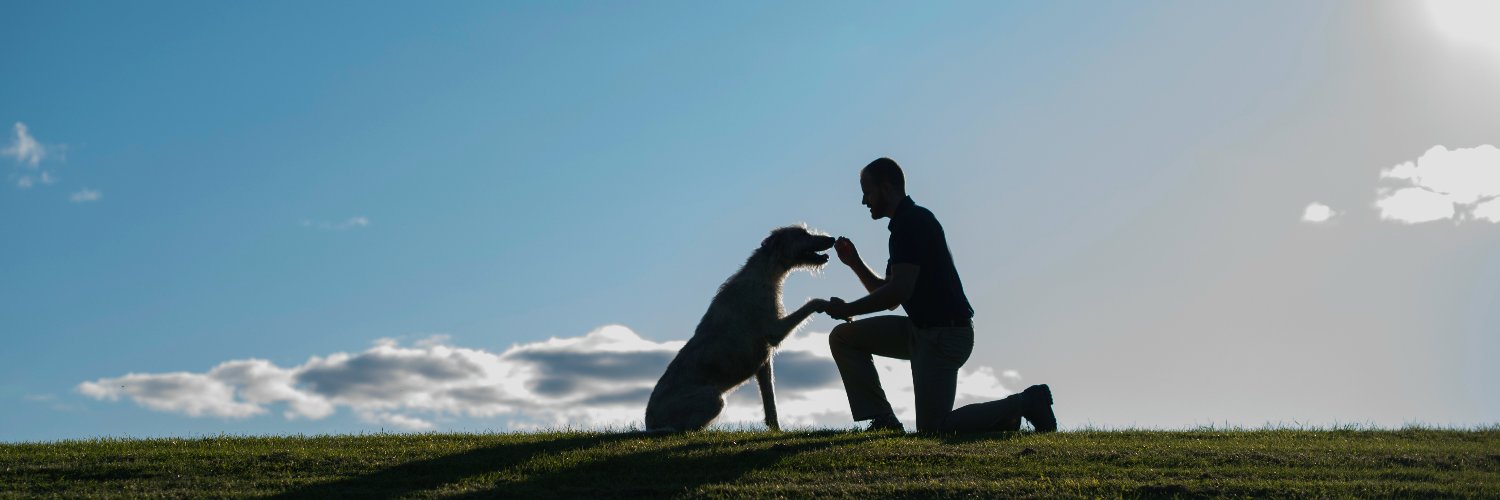 cedarviewvet's profile banner image