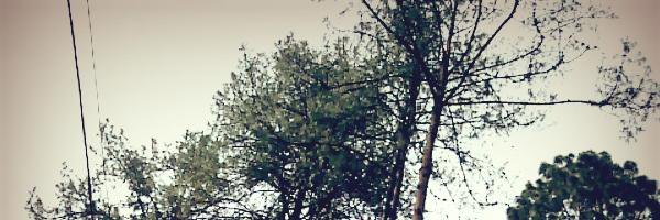 daniel bedoya rios banner