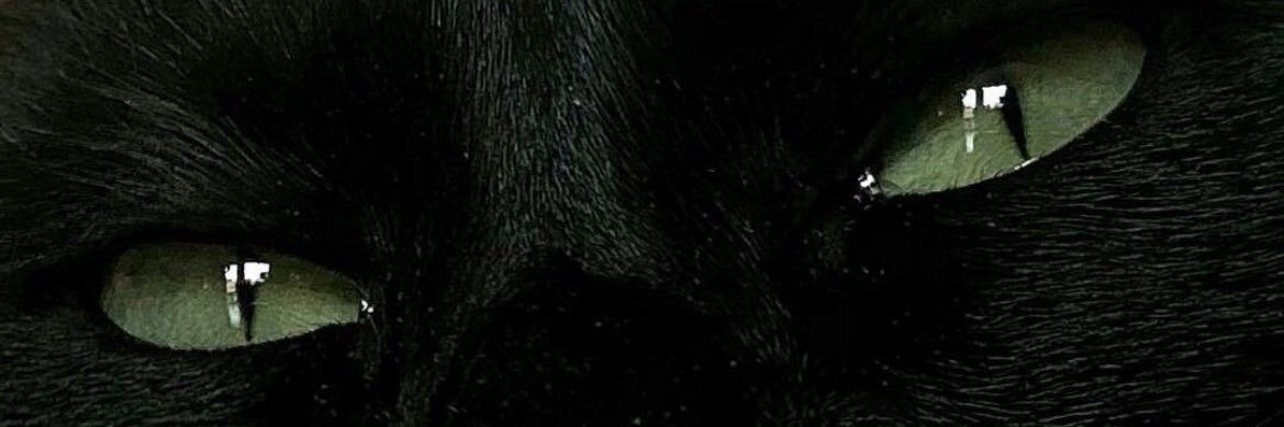 Lopes54Sophie's profile banner image