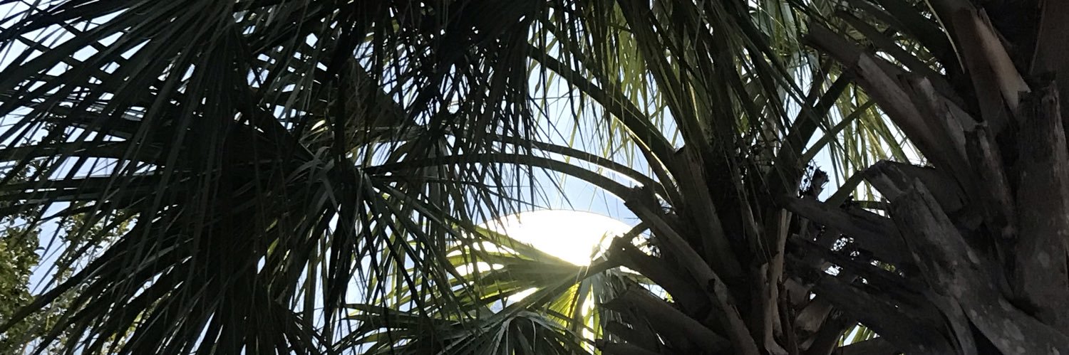 steevs_'s profile banner image