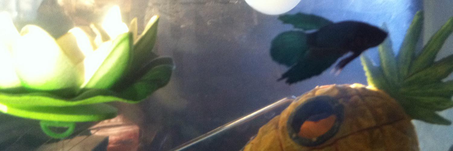 mcjuliadegan's profile banner image