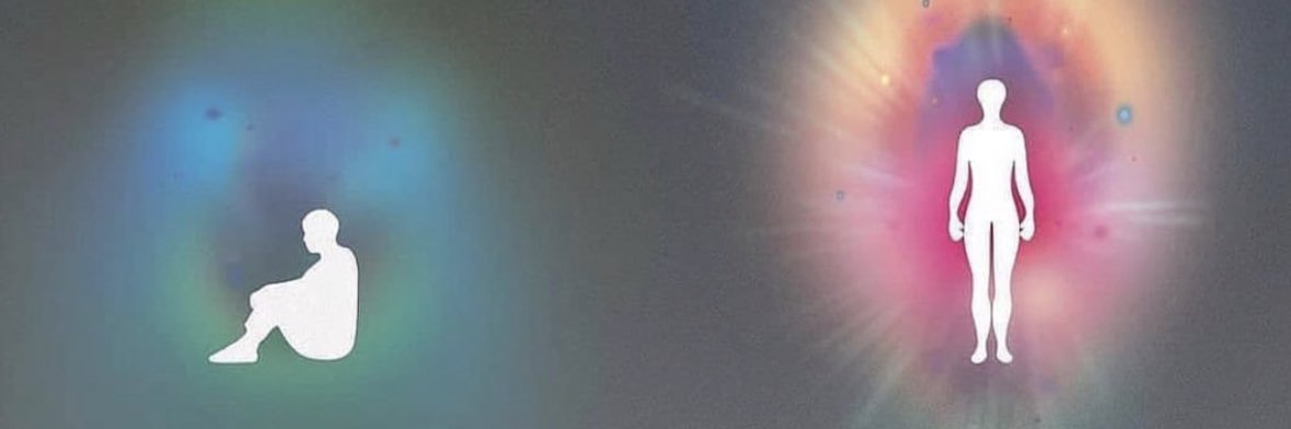 drout's banner