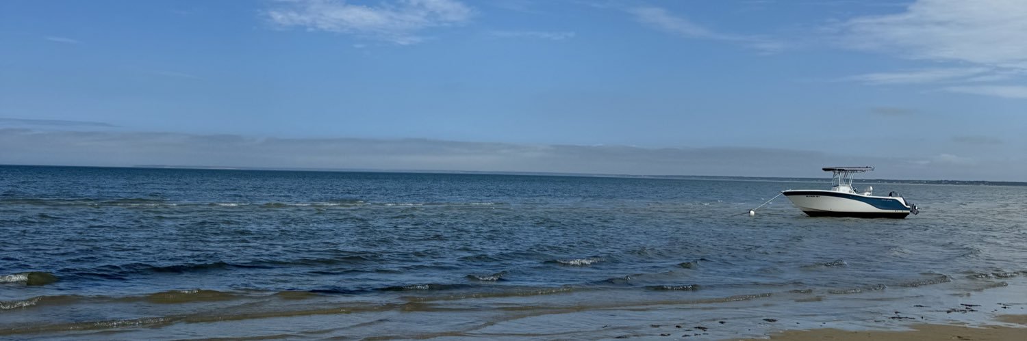 Mish banner