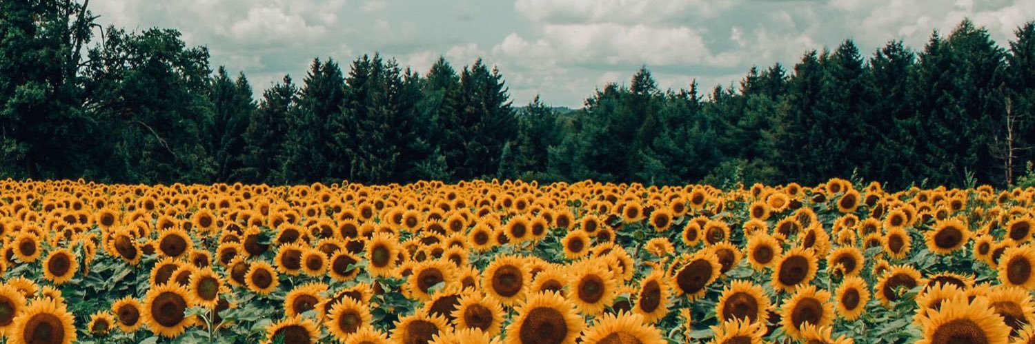 vale_bressano's profile banner image
