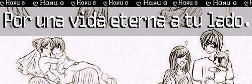 Un gordo cocinero banner