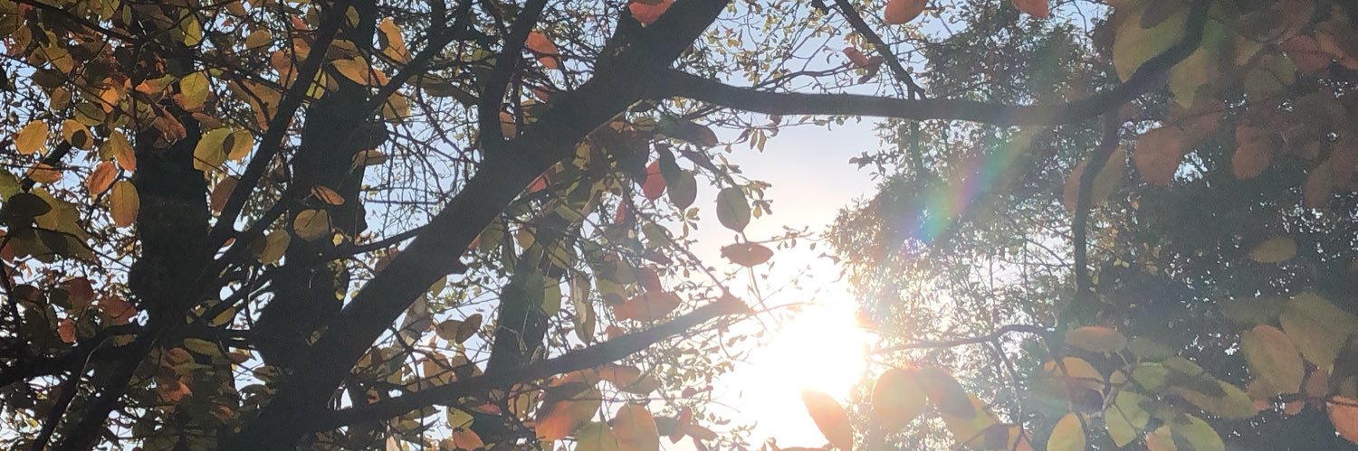 linzzharmons's profile banner image