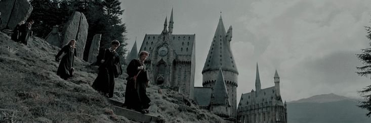 D_Dobrevic's profile banner image
