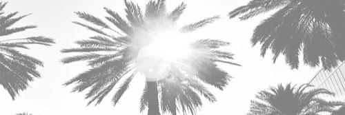 Cheyguy319's profile banner image