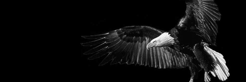 Onurzaloglu's profile banner image