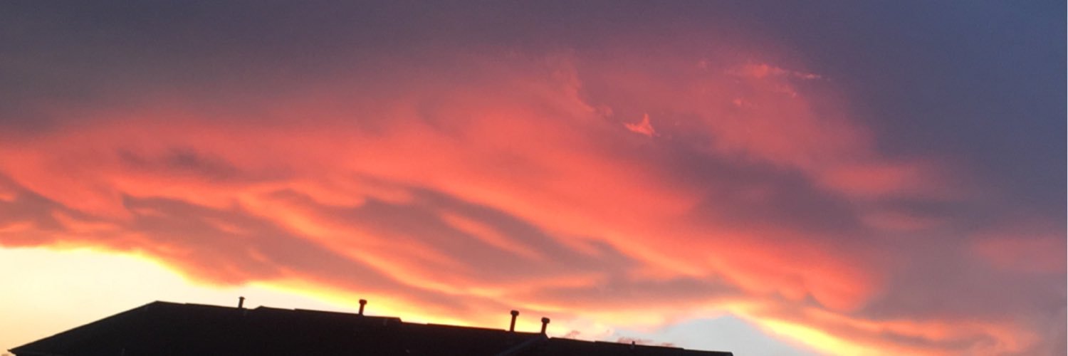 Tcy__'s profile banner image
