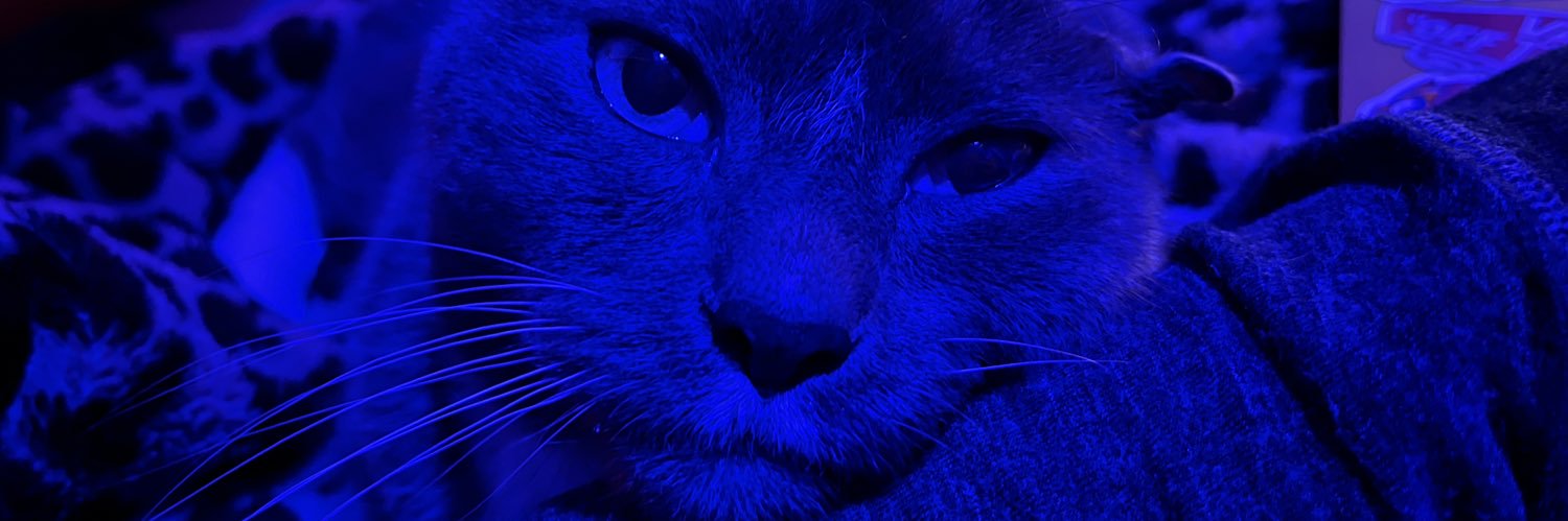 rissir00's profile banner image