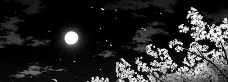 ophelialuna40's profile banner image