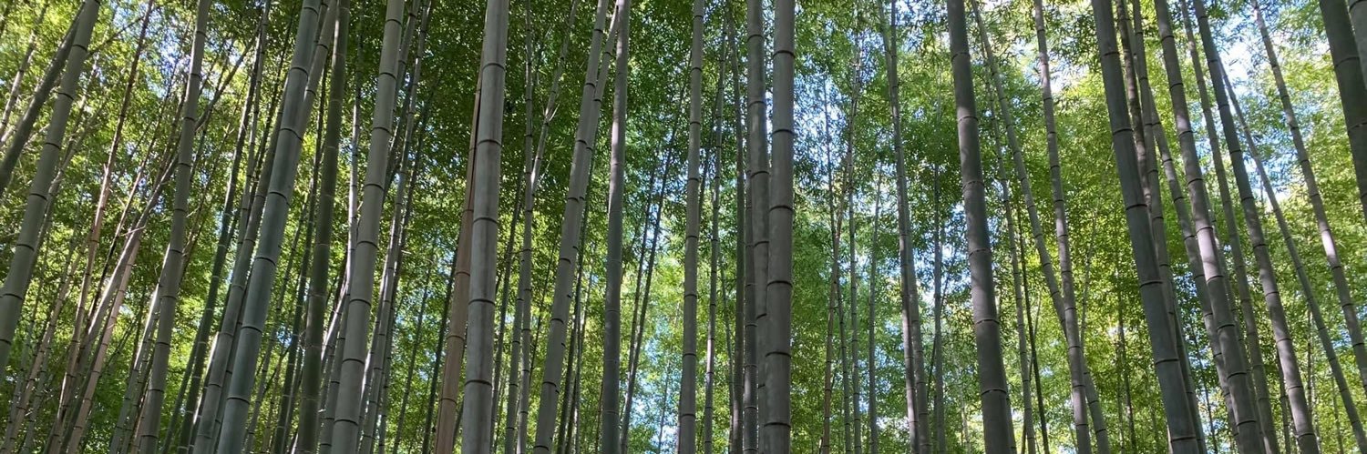 sntsnow's profile banner image