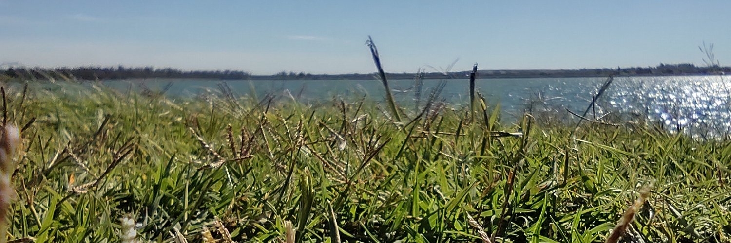 manepfund's profile banner image