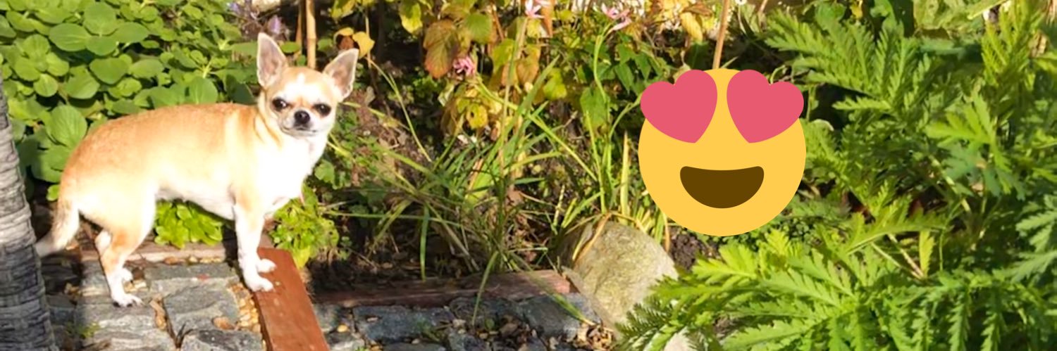 lil_miss_deb's profile banner image