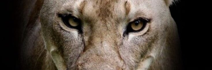 Aleja_LeonC's profile banner image
