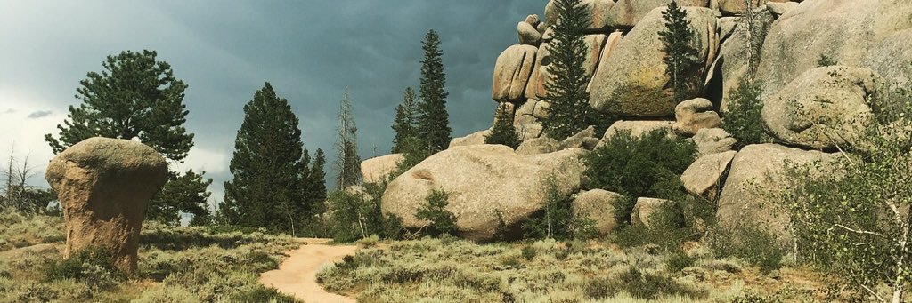 Kristin Hinkson banner